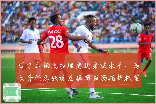 辽宁本钢总经理更迭余波未平，乌戈升任总教练后杨鸣临场指挥权重几何
