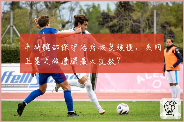 辛纳髋部保守治疗恢复缓慢,美网卫冕之路遭遇最大变数?