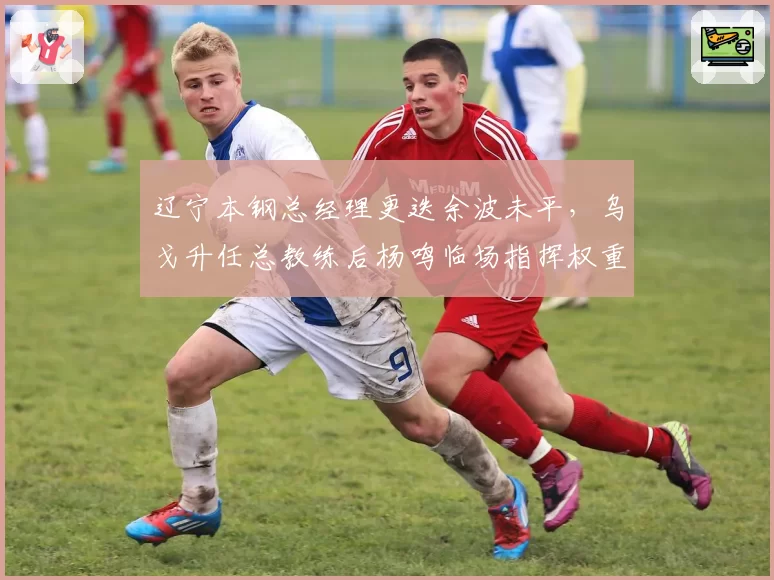 辽宁本钢总经理更迭余波未平，乌戈升任总教练后杨鸣临场指挥权重几何