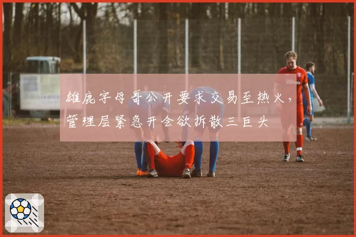 雄鹿字母哥公开要求交易至热火，管理层紧急开会欲拆散三巨头