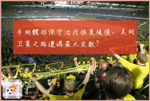 辛纳髋部保守治疗恢复缓慢，美网卫冕之路遭遇最大变数？
